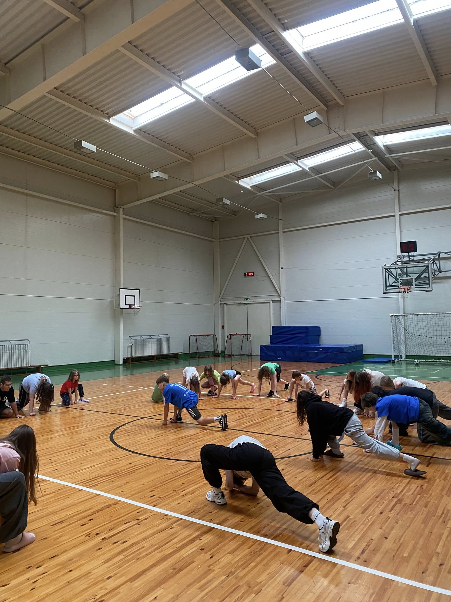 May be an image of 7 people, people practicing yoga, people playing basketball and people playing voleyball