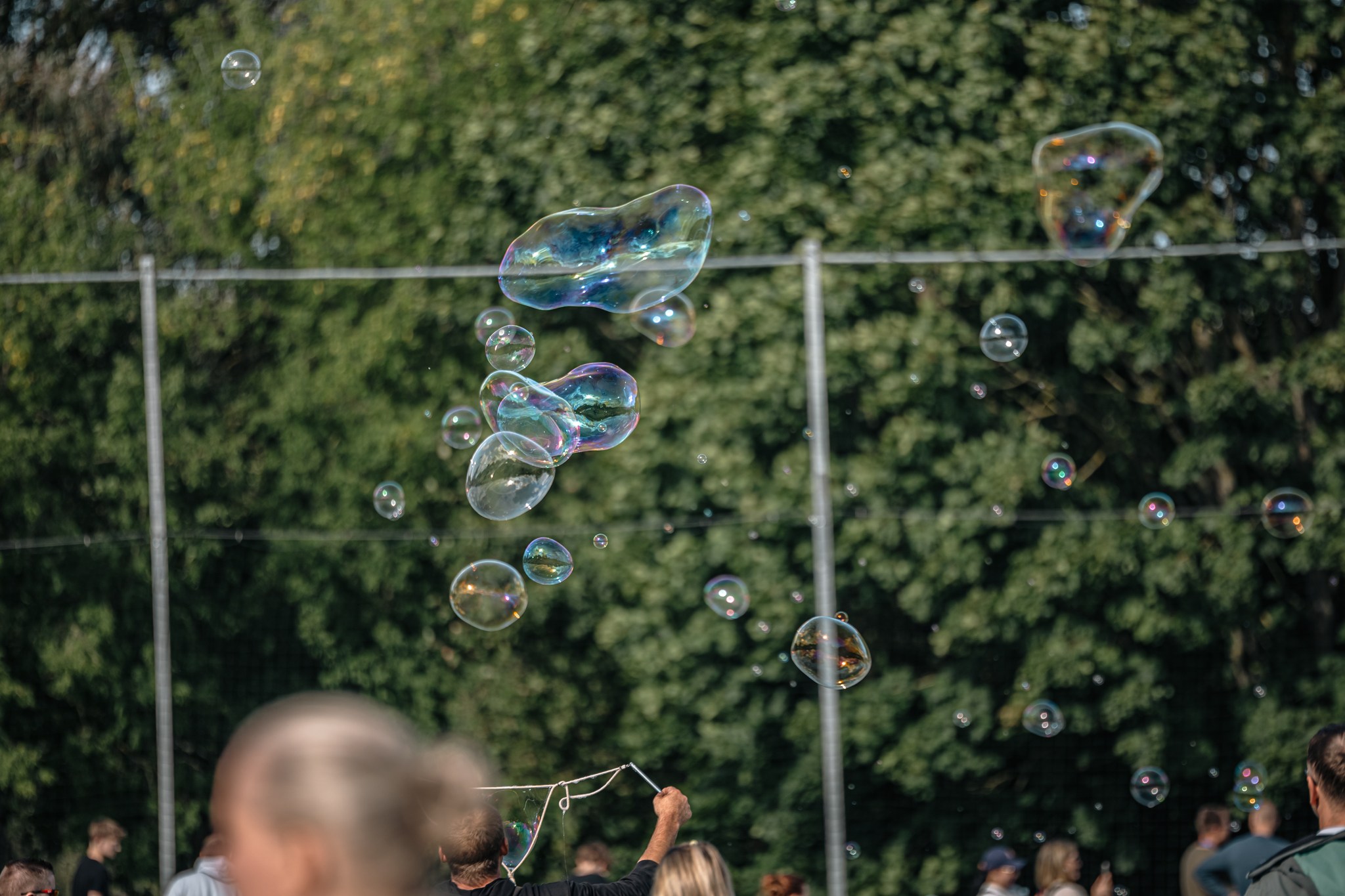 May be an image of 9 people