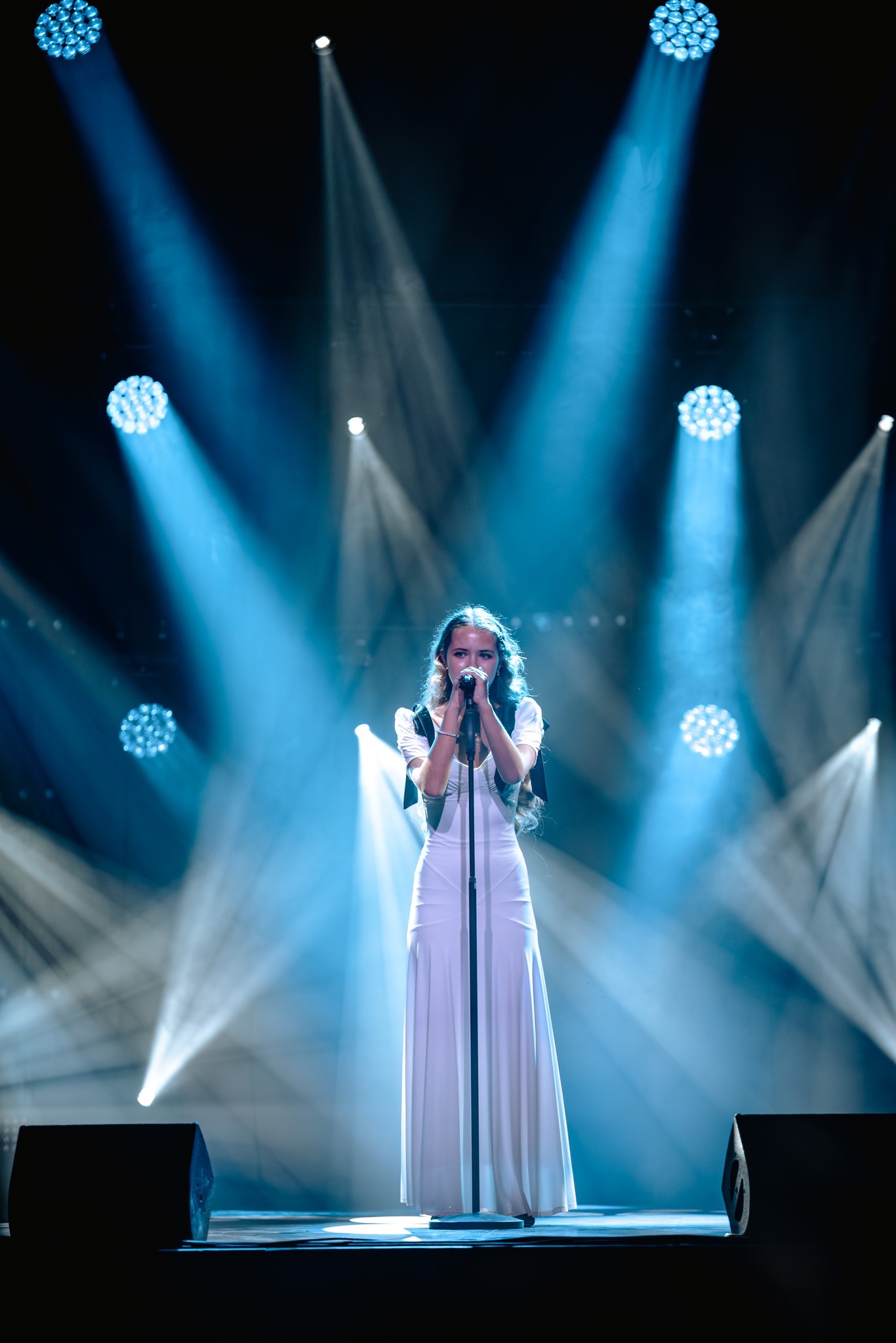 May be an image of violin