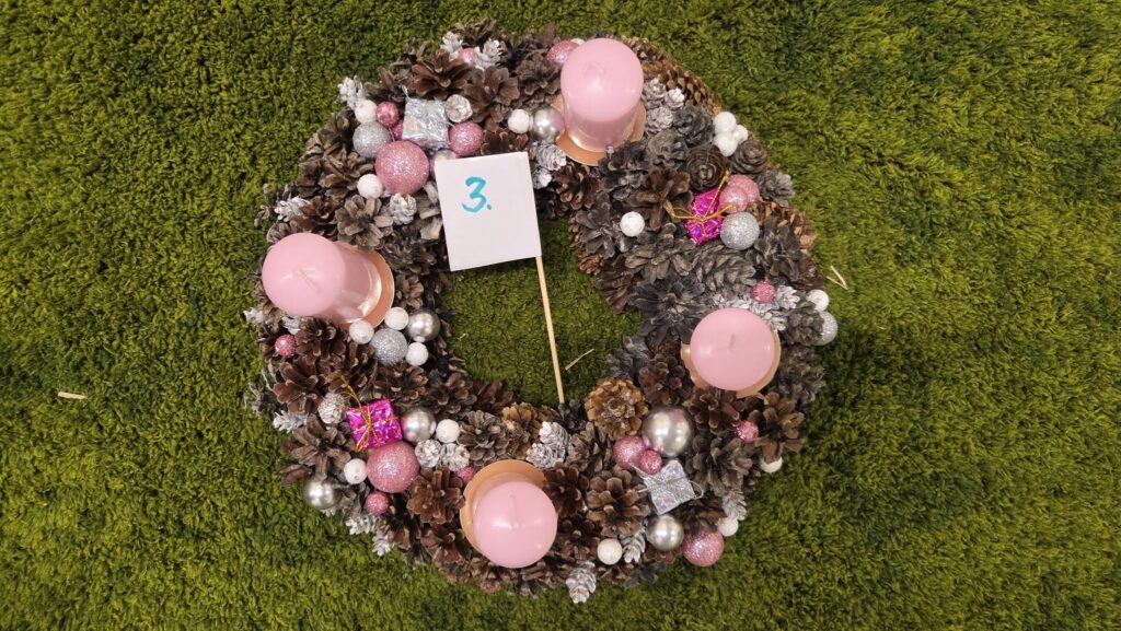 May be an image of baby's-breath, grass and text