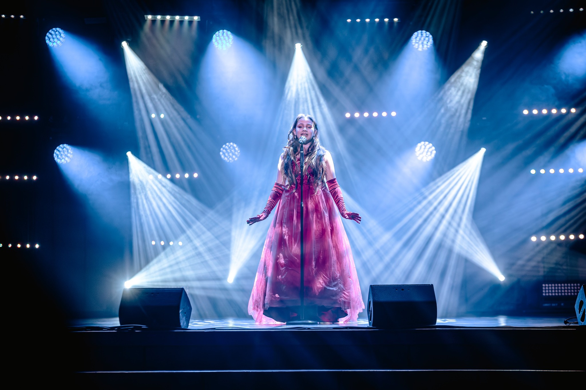 May be an image of violin