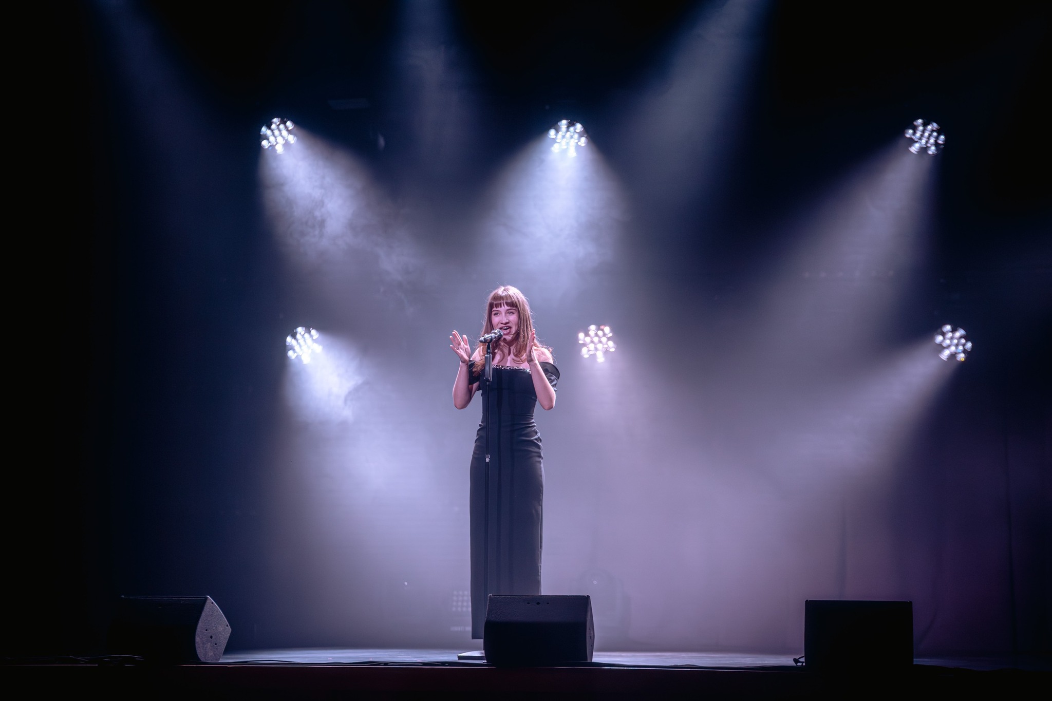 May be an image of violin