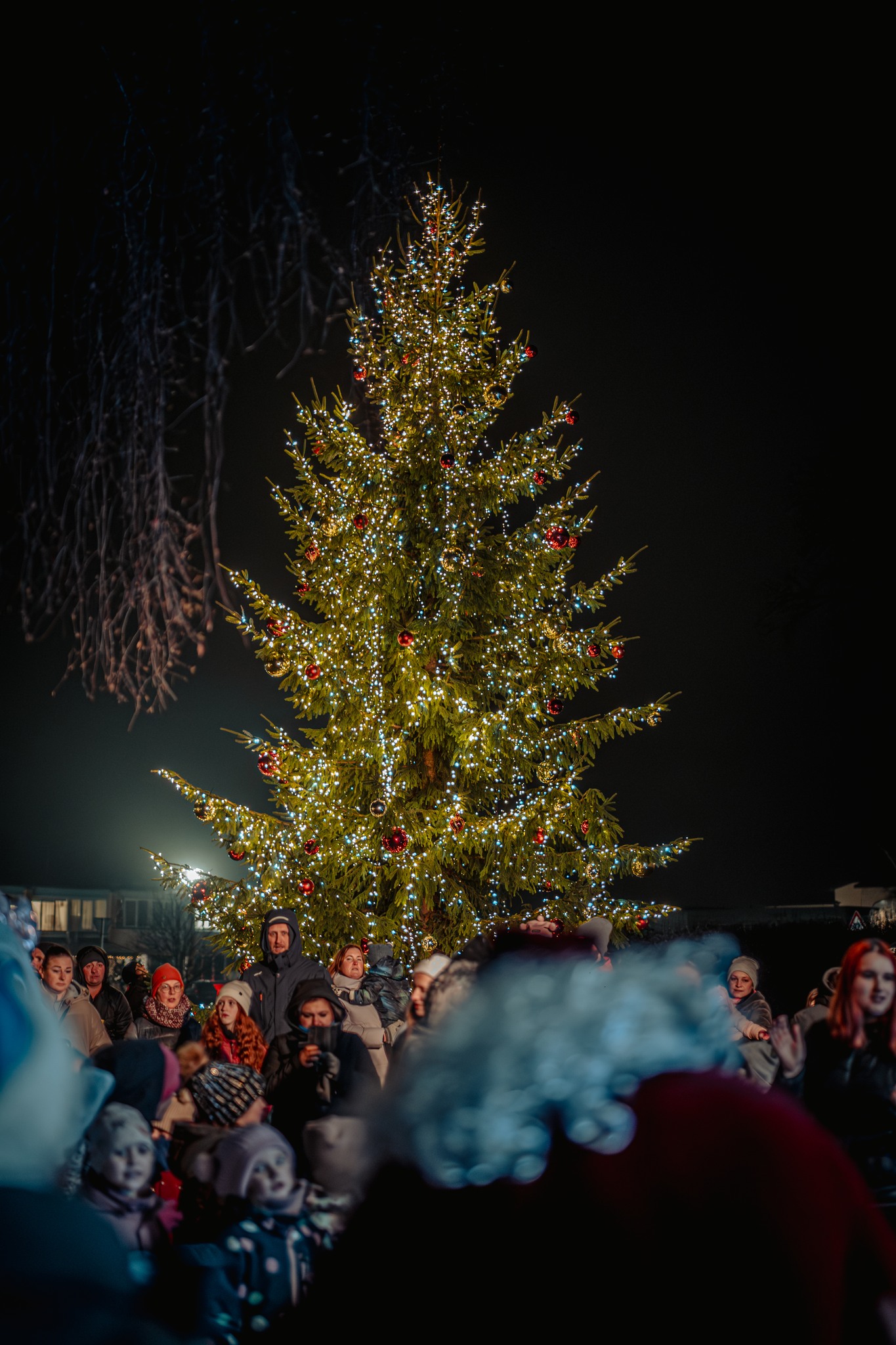 May be an image of christmas tree and crowd