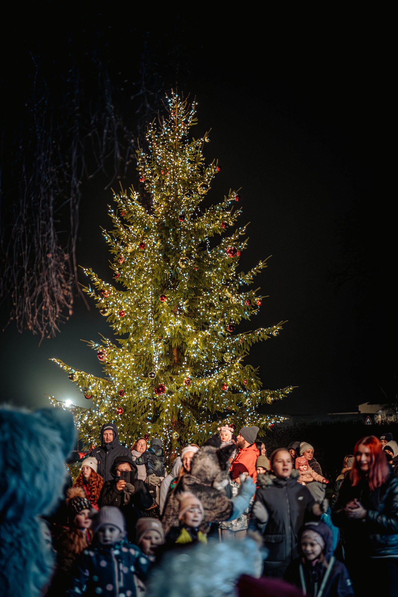 May be an image of one or more people, christmas tree and crowd