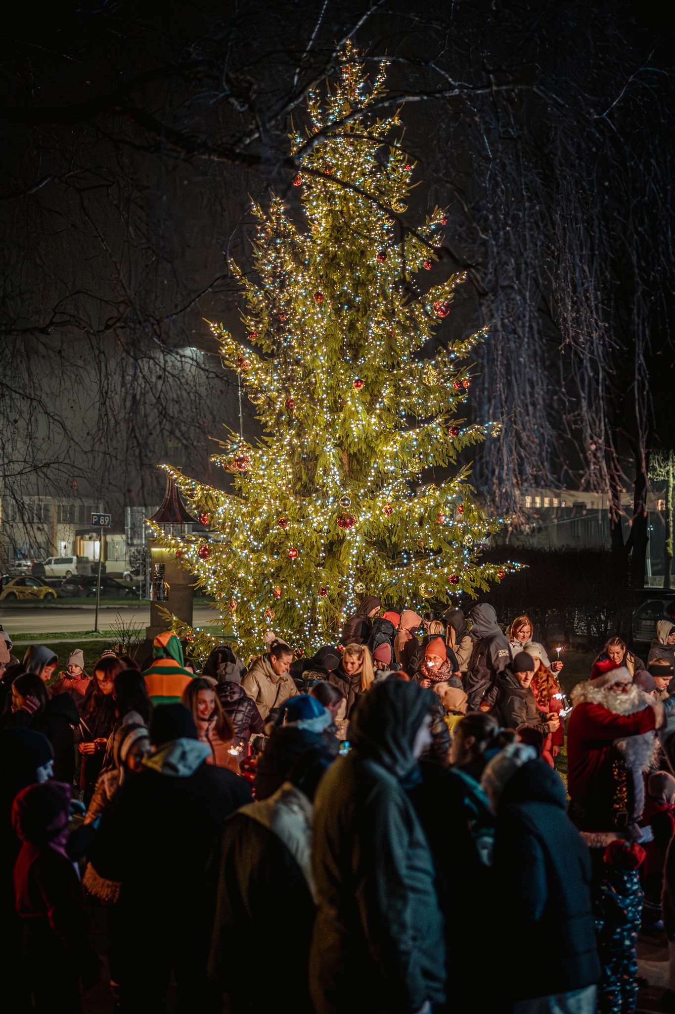 May be an image of christmas tree, crowd and text
