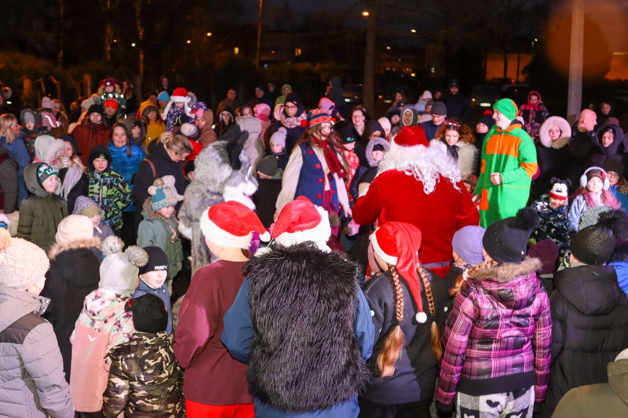 May be an image of christmas tree and crowd