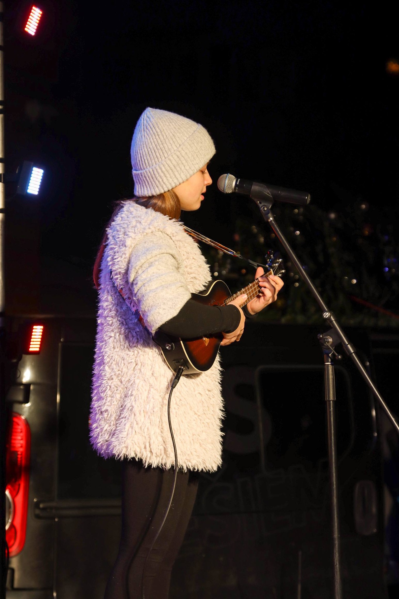 May be an image of guitar, violin and text