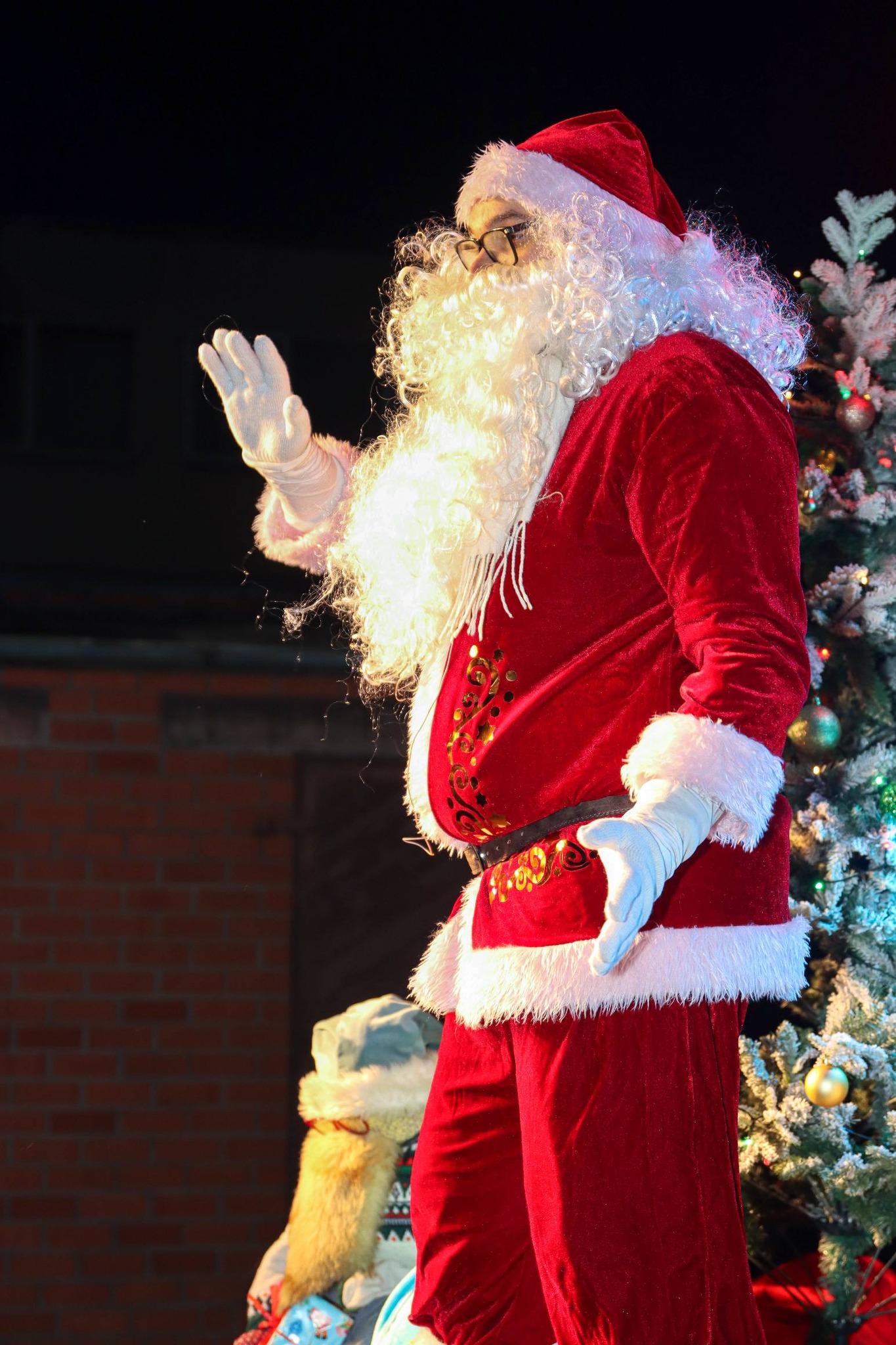 May be an image of christmas tree