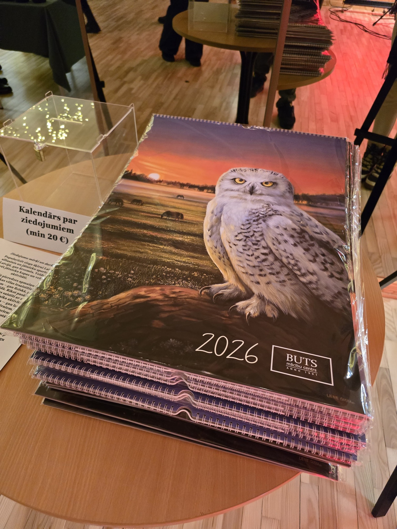 May be an image of great grey owl, owl and text